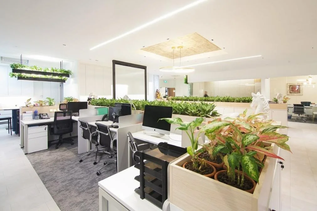Infar International Universal Vision — project view 3