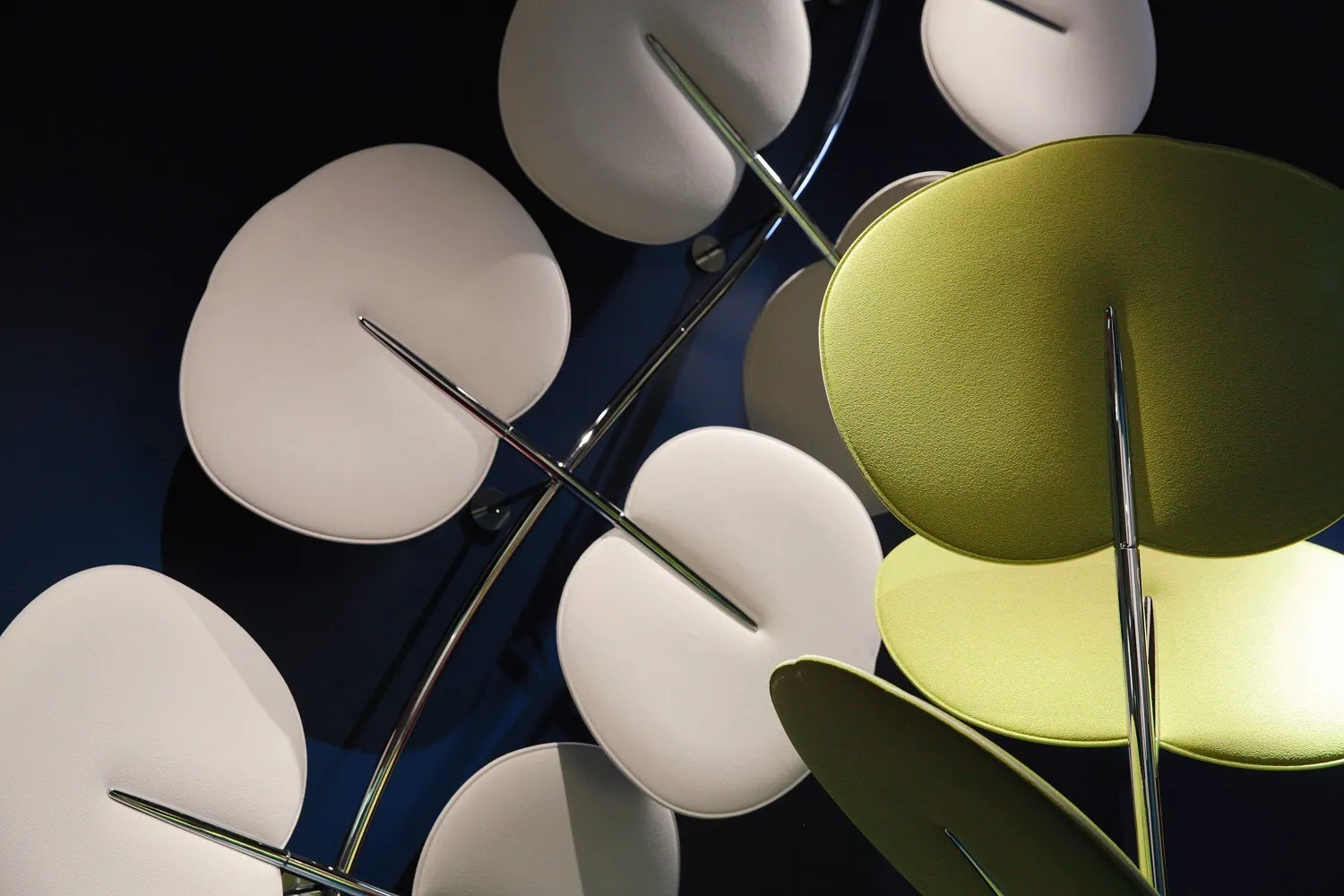 6. Botanica, Design Authority