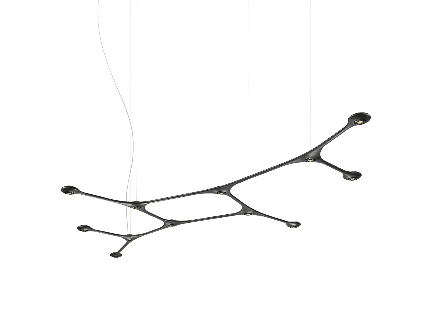 Tokio Furniture And Lighting CARB 12, Design Authority