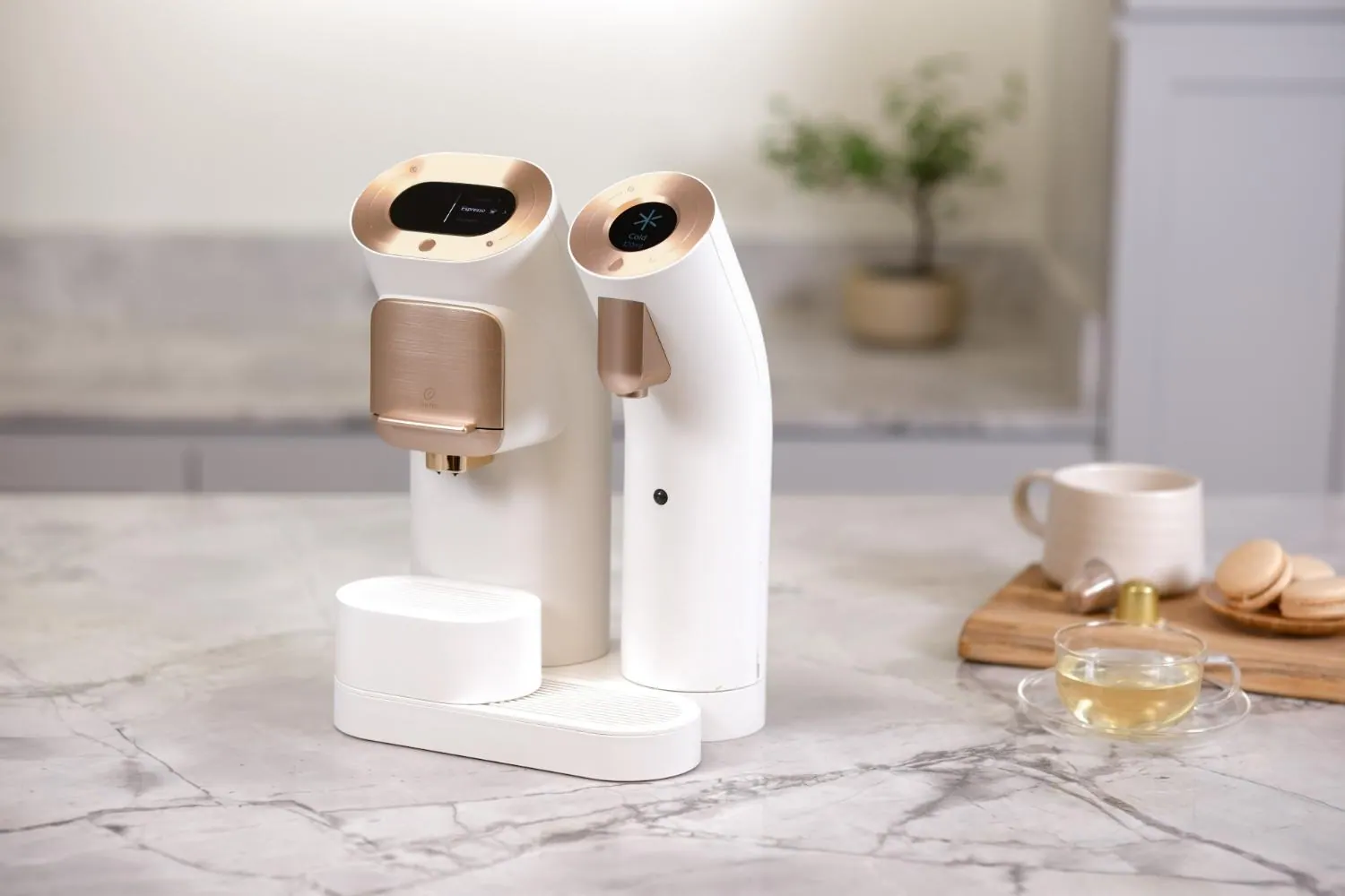 Wells HomeCafe 02, Design Authority